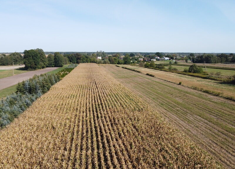 Działka budowlana 0.55 ha Sielce gm. Końskowola - KOŃSKOWOLA, LUBELSKIE na SPRZEDAŻ