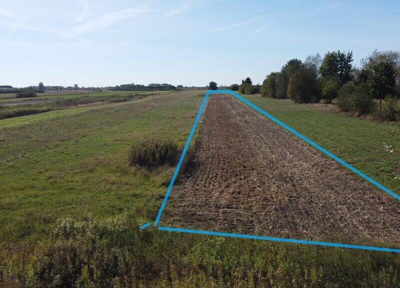 Działka budowlana 0.55 ha Sielce gm. Końskowola - KOŃSKOWOLA, LUBELSKIE na SPRZEDAŻ