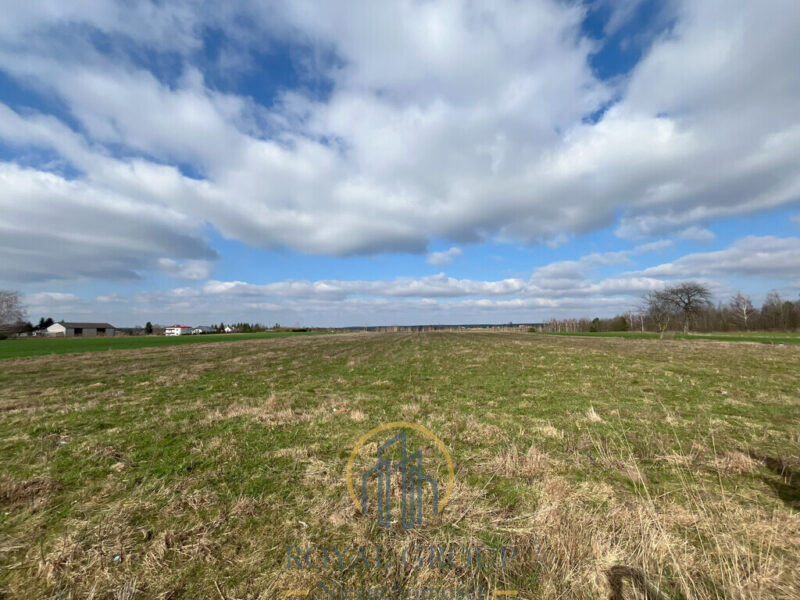 Pierwsza linia zabudowy, dojazd drogą asfaltową.