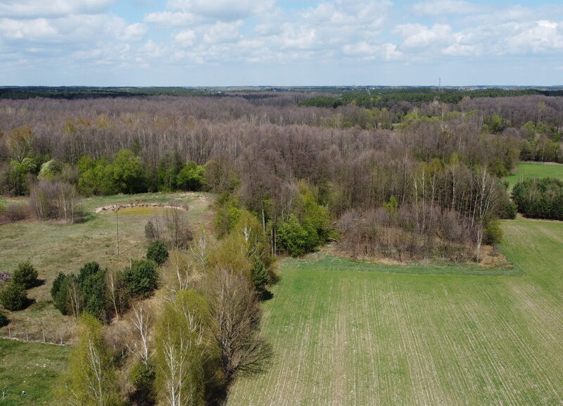 Działka budowlana o pow. 3000 m2 z wydaną decyzją o warunkach zabudowy w cichej i malowniczej miejscowości Siekierka Nowa gm. Chotcza, pow. lipski woj. mazowiec- CHOTCZA, MAZOWIECKIE na SPRZEDAŻ