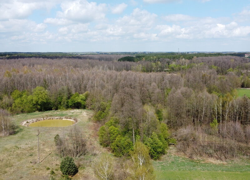 Działka budowlana 3000 m2 w Siekierce gm. Chotcza