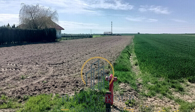Działka budowlana 32ar, Turowola - Kolonia