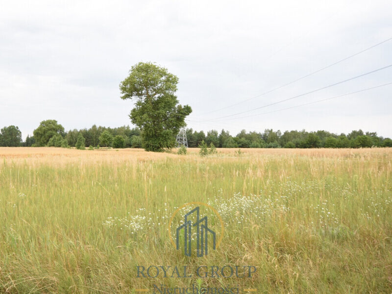 Działka budowlano-zagrodowa 8 200 m² - Górka Kocka, gm. Kock