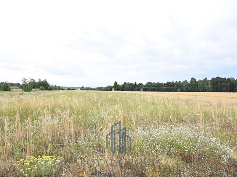 Działka budowlano-zagrodowa 8 200 m² - Górka Kocka, gm. Kock