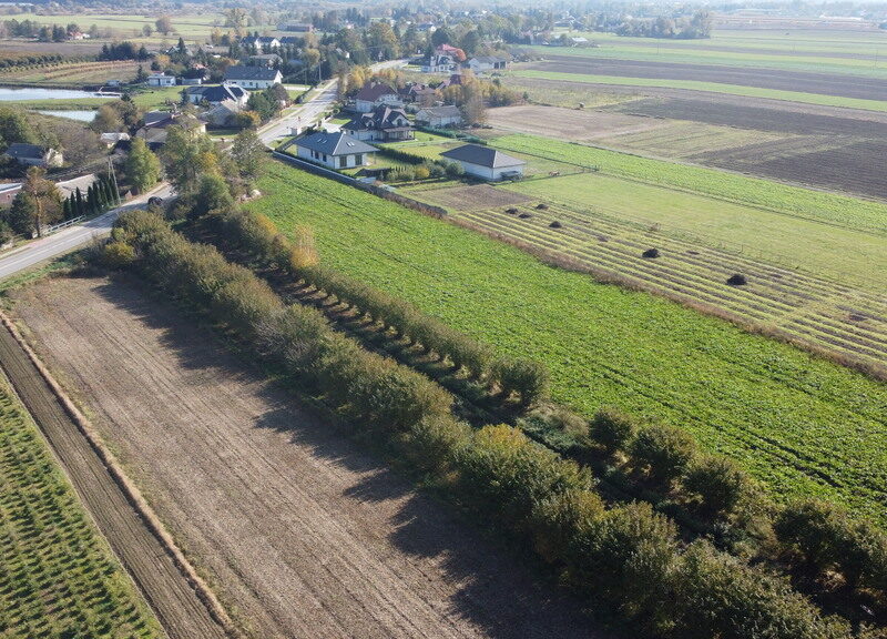 DZIAŁKA na SPRZEDAŻ, KRASNYSTAW, KRASNYSTAW