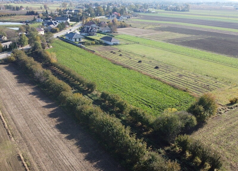 Działka budowlana Krasnystaw ul. Kościuszki 42,8ar