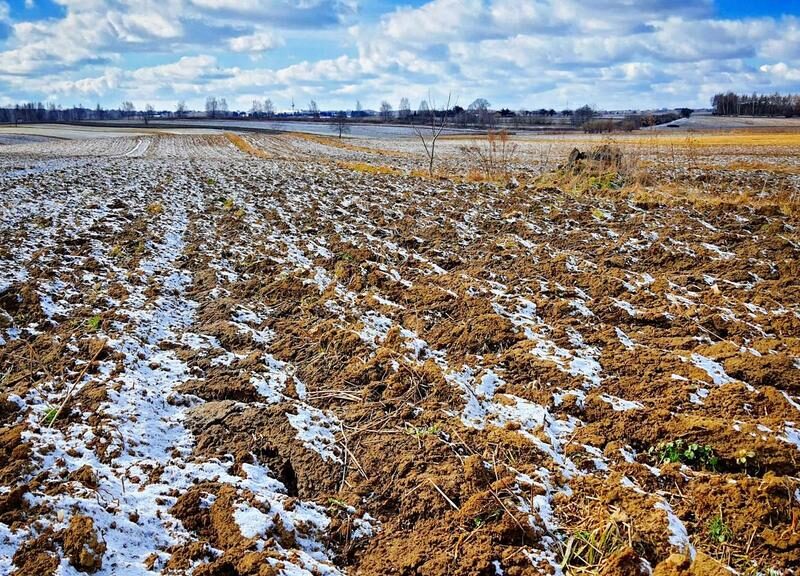 Działka budowlana - Płouszowice Kolonia - 35ar - gm. Jastków~~Duża, piękna działka położona jeszcze przed obwodnicą Lublina od strony miasta - idealna pod budow- JASTKÓW, LUBELSKIE na SPRZEDAŻ
