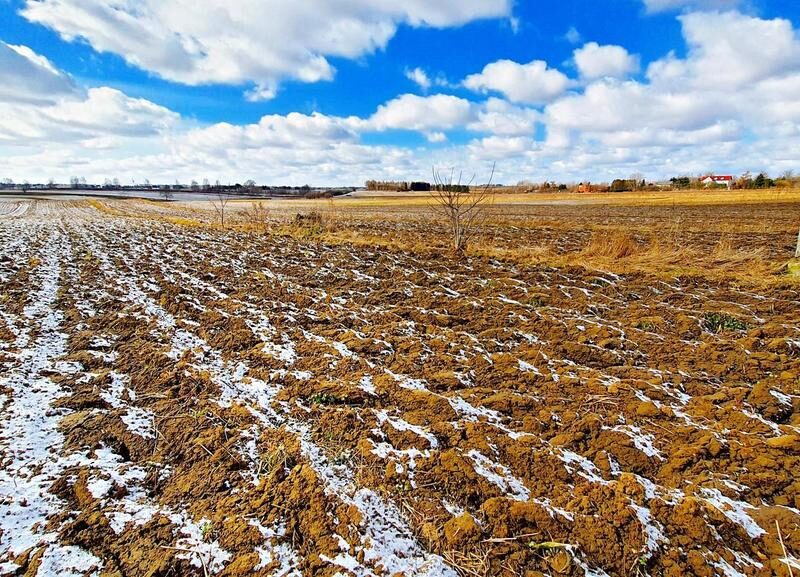 Działka budowlana Płouszowice Kolonia - 35ar - JASTKÓW, LUBELSKIE na SPRZEDAŻ
