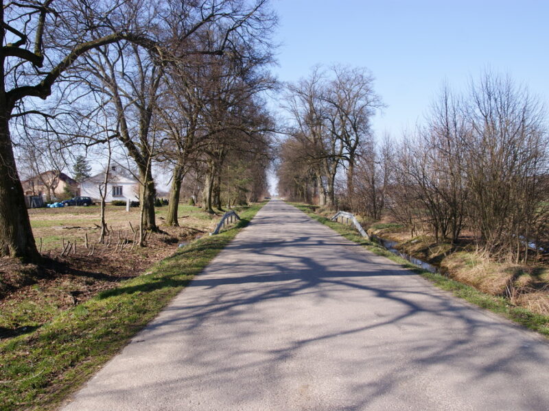 Działka budowlana Stoczek Kolonia 18ar lub więcej - NIEMCE, LUBELSKIE na SPRZEDAŻ