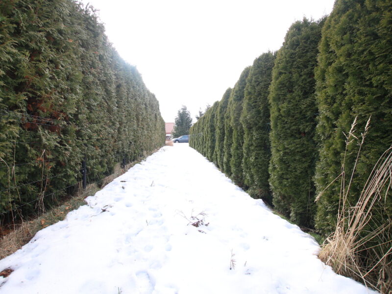 Działka budowlana Turka 18a (tylko 8km do Lublina) - WÓLKA, LUBELSKIE na SPRZEDAŻ