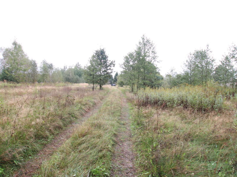 Działka budowlana ok.20 ar Gołąb g. Michów