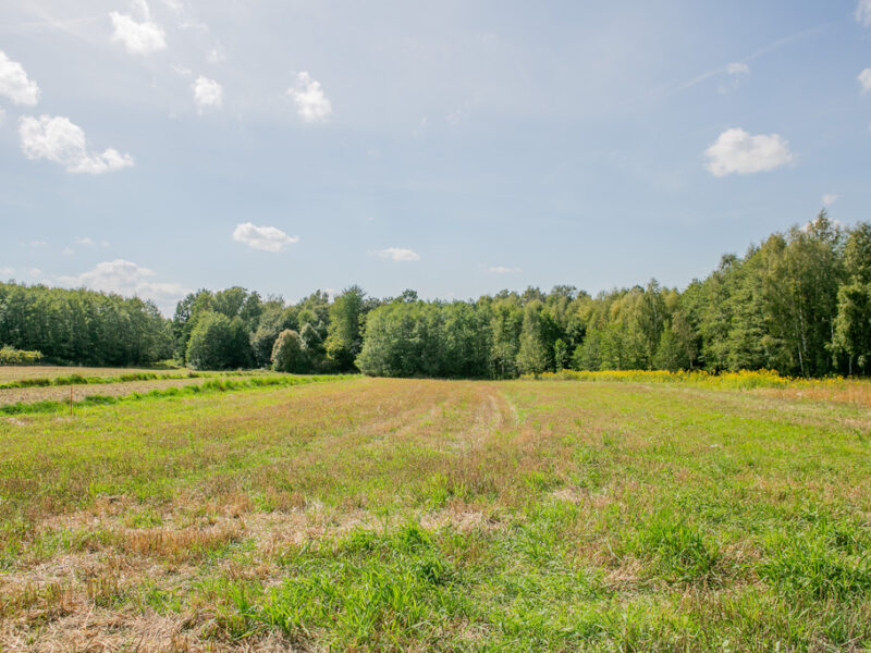 Działka budowlano-zagrodowa Poręba Radlna! - PORĘBA RADLNA, MAŁOPOLSKIE na SPRZEDAŻ