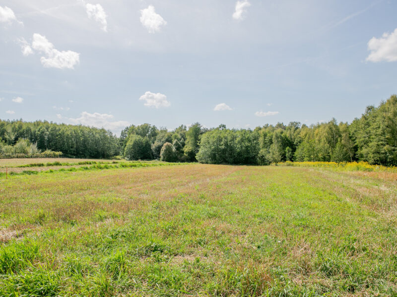 DZIAŁKA na SPRZEDAŻ, PORĘBA RADLNA, TARNÓW