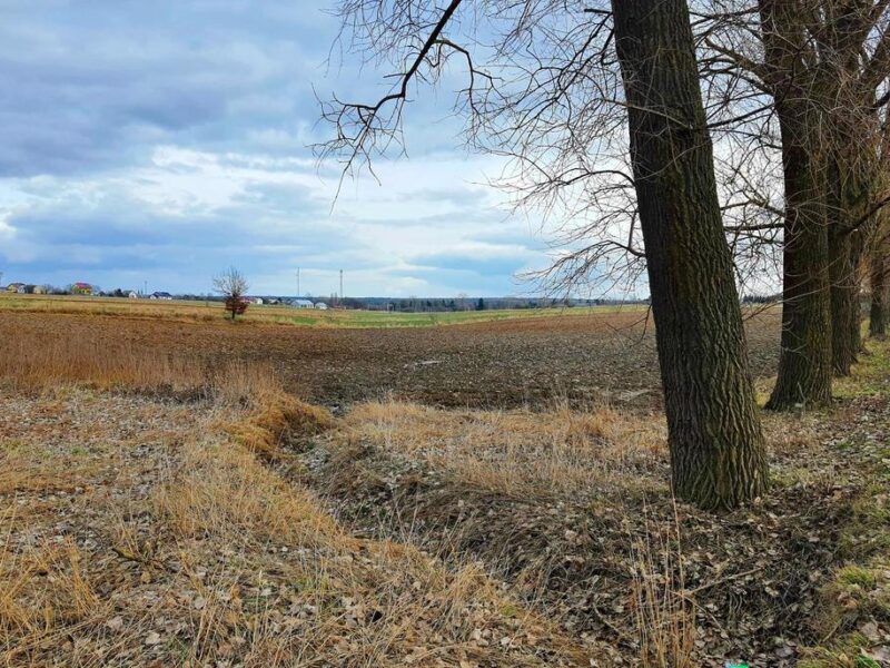 Działka inwestycyjna w Zemborzycach Kościelnych
