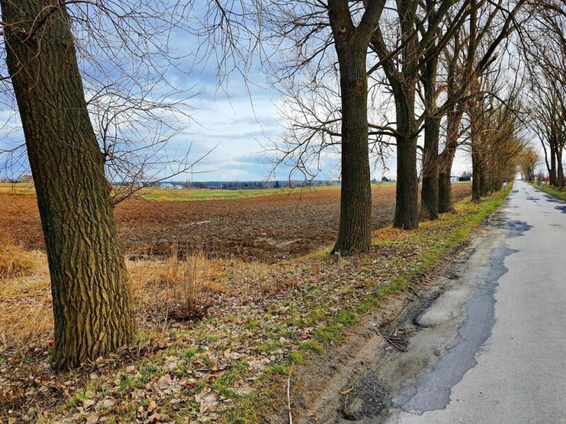 Działka inwestycyjna w Zemborzycach Kościelnych - LUBLIN, LUBELSKIE na SPRZEDAŻ