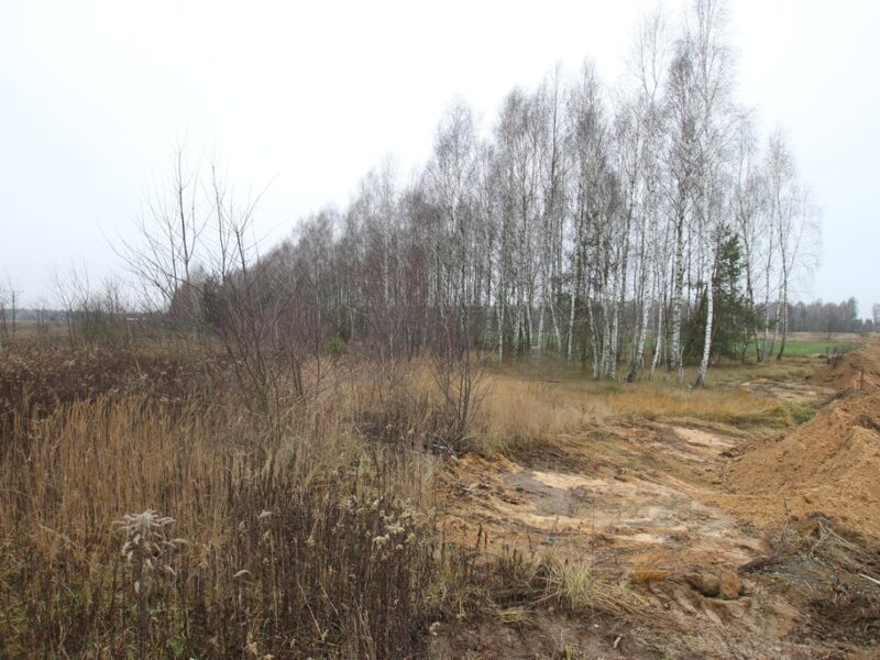Działka komercyjna przemysł/usługa Lubartów S19 - SKROBÓW-KOLONIA, LUBELSKIE na SPRZEDAŻ