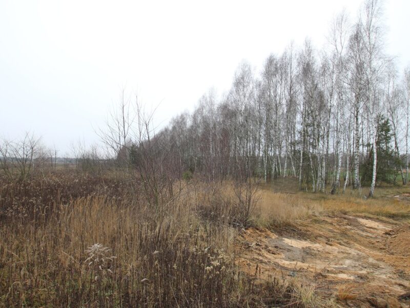 Działka komercyjna przemysł/usługa Lubartów S19 - LUBARTÓW, LUBELSKIE na SPRZEDAŻ