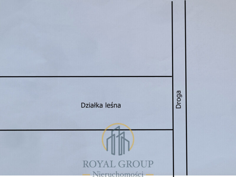 Działka leśna