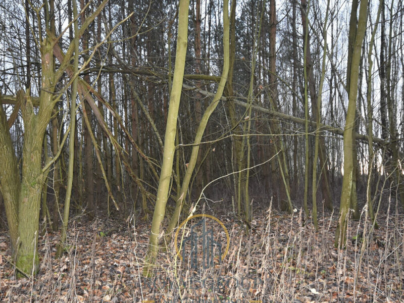 Na sprzedaż - działka leśna o powierzchni 1,7 ha