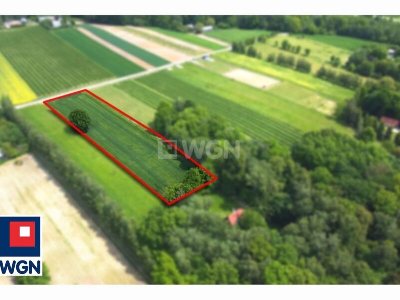 Działka  na sprzedaż - Drzewce-Kolonia