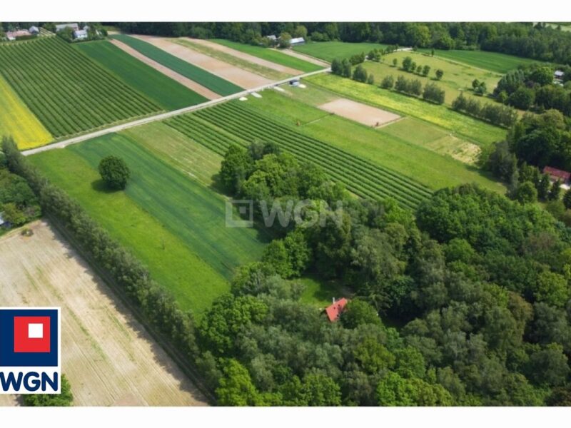 Działka  na sprzedaż - Drzewce-Kolonia
