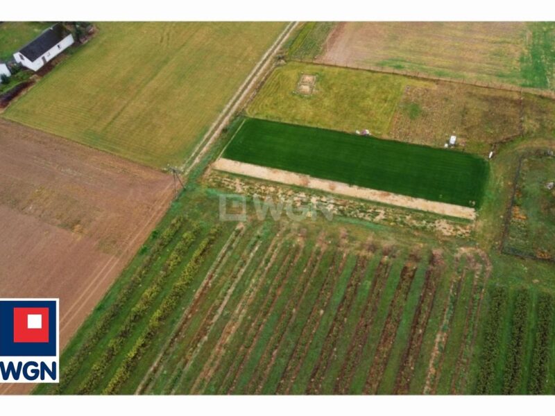 Działka na sprzedaż - Skrzynice-Kolonia