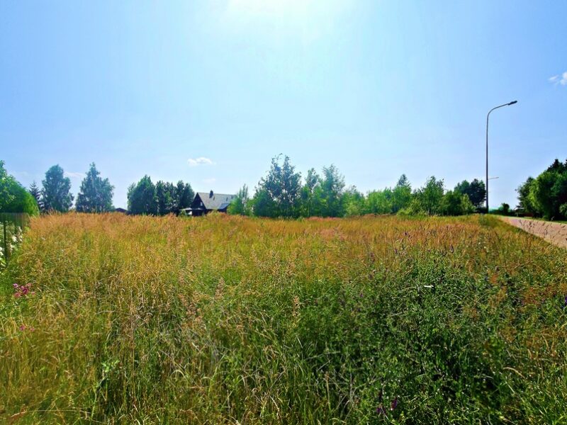 Działka nad Jeziorem Krasne - zabud. jednorodzinna - KRASNE, LUBELSKIE na SPRZEDAŻ