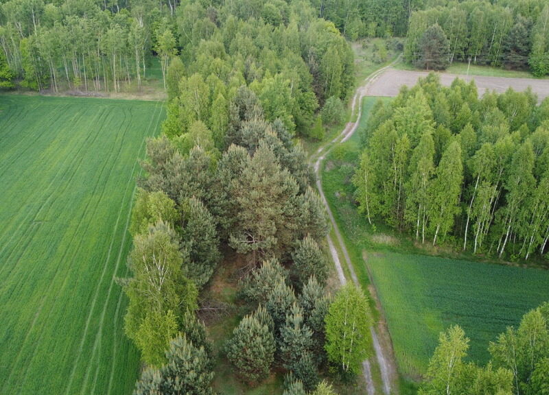 Działka o pow. 1,63 ha w Karolowie gm. Chotcza.