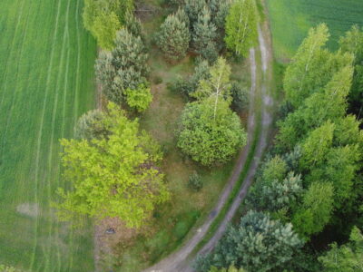 Działka o pow. 1,63 ha w Karolowie gm. Chotcza.