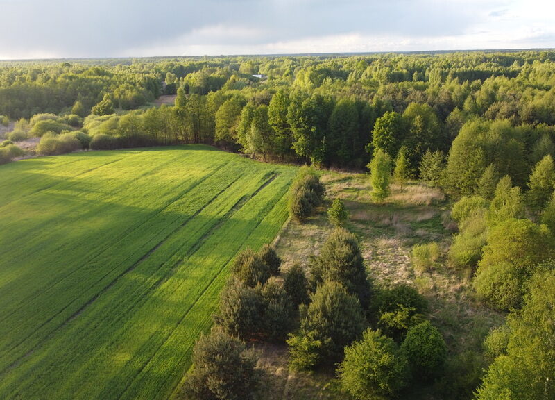Działka o pow. 1,63 ha w Karolowie gm. Chotcza.