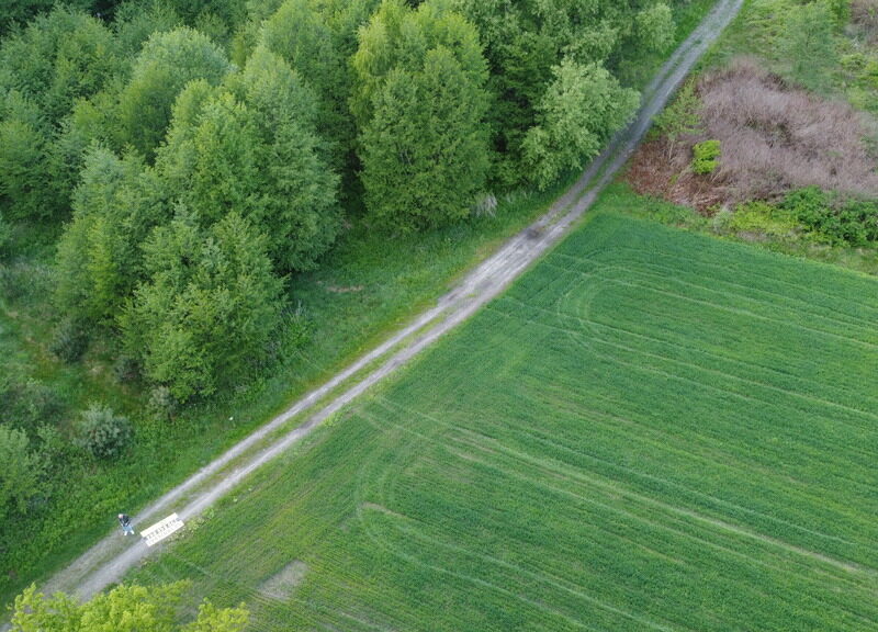 Działka o  pow. 1,63 ha w Karolowie gm. Chotcza. - CHOTCZA, MAZOWIECKIE na SPRZEDAŻ