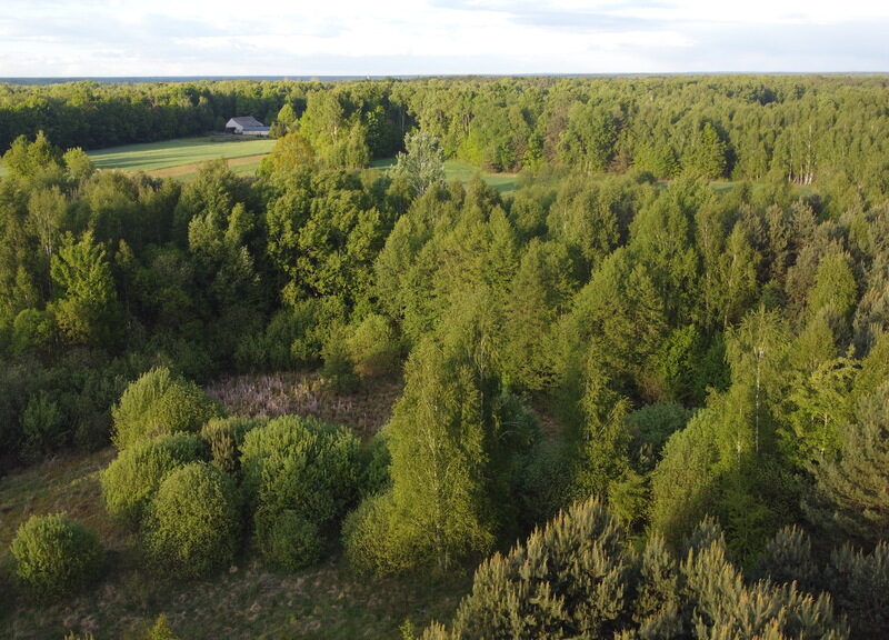 DZIAŁKA na SPRZEDAŻ, KAROLÓW, CHOTCZA