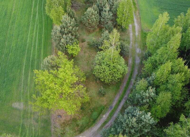 Działka o  pow. 1,63 ha w Karolowie gm. Chotcza. - CHOTCZA, MAZOWIECKIE na SPRZEDAŻ