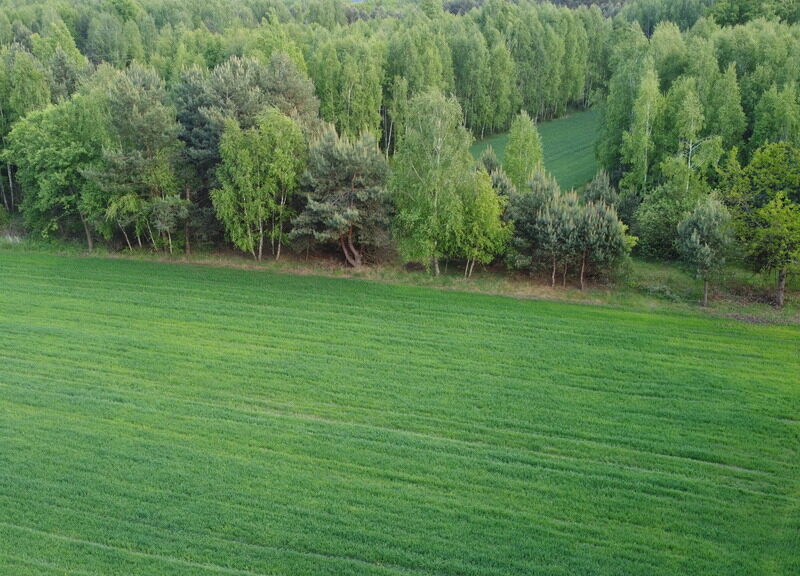 Działka o pow. 1,63 ha w Karolowie gm. Chotcza.