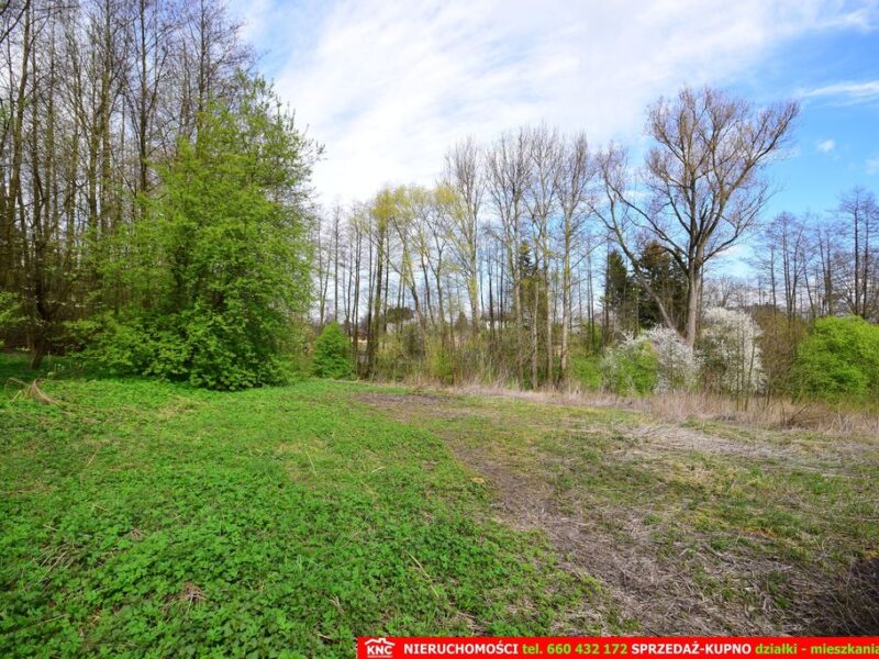 Działka o pow. 3115 m², blisko szkoła, MPK.
