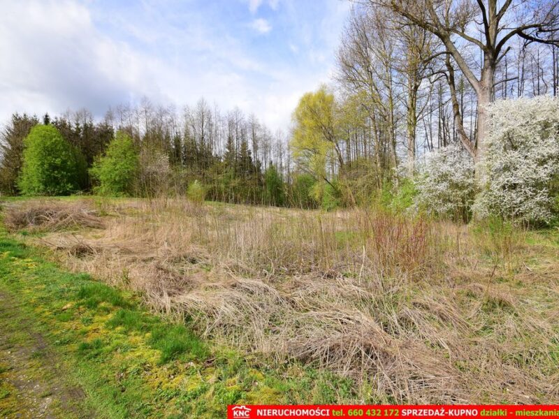 Działka o pow. 3115 m², blisko szkoła, MPK.