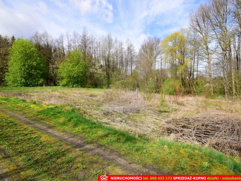 Działka o pow. 3115 m², blisko szkoła, MPK.