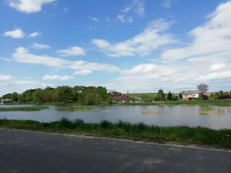 Działka o pow. 4,6 ha w Klementowicach gm. Kurów. - KLEMENTOWICE, LUBELSKIE na SPRZEDAŻ