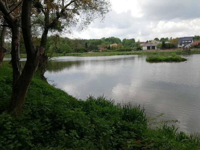 DZIAŁKA na SPRZEDAŻ, KLEMENTOWICE, KURÓW