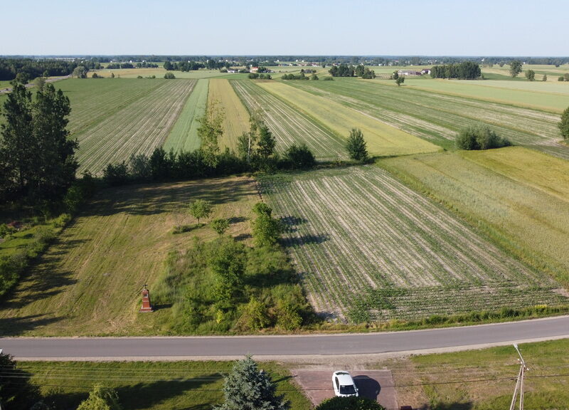 Działka o pow. 6461 m2 w Wysokim Kole (Gniewoszów)
