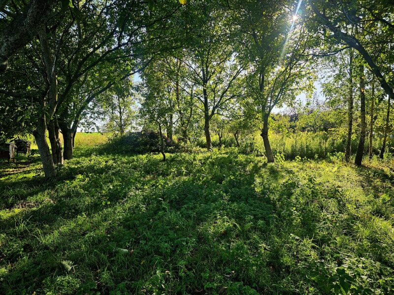 Działka budowlana prawie 26 ar w Smugach, gmina Jastków - blisko miasta i doskonały dojazd w jednym!!~~Dojazd do Lublina - 10 kilometrów (15 minut jazdy). Powie- JASTKÓW, LUBELSKIE na SPRZEDAŻ