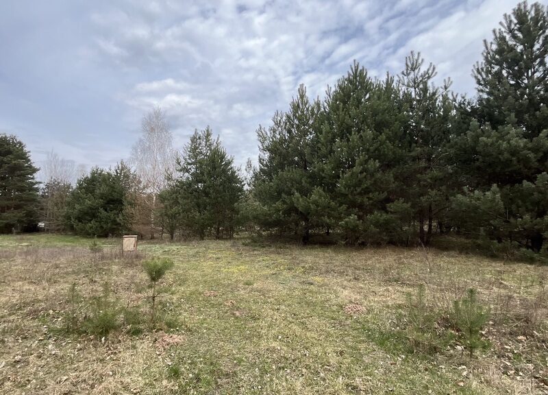 Działka pod zabudowę 991 m2 Kłoda gm. Magnuszew.