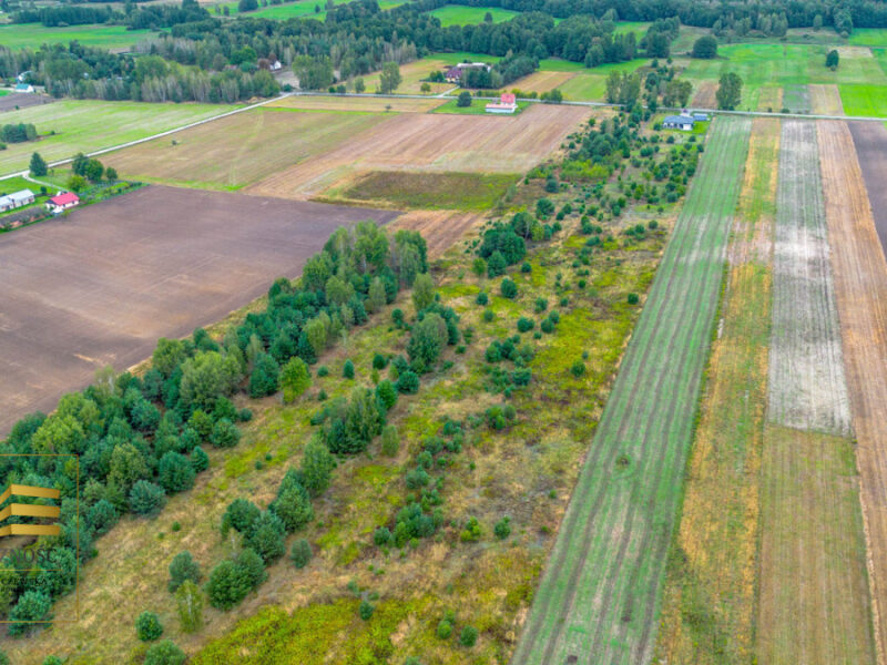 Na sprzedaż działka o powierzchni 1001m2 (tereny zabudowy mieszkaniowej jednorodzinnej) w Wólce Krasienińskiej, 15km od granic Lublina.O NIERUCHOMOŚCI:Wymiary d -Działka pod zabudowę jednorodzinną w Wólce Krasien