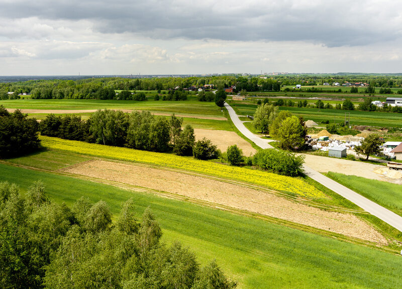 DZIAŁKA na SPRZEDAŻ, SKRZYSZÓW, SKRZYSZÓW