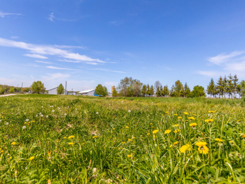 Działka przemysłowa produkcja 9003m2 - Świdnik