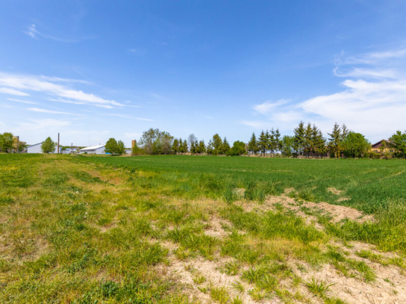 Działka przemysłowa produkcja 9003m2 - Świdnik - Krzesimów - portal ogłoszeniowy