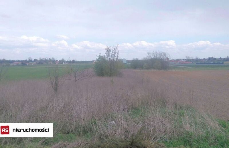 DZIAŁKA  na SPRZEDAŻ Dys