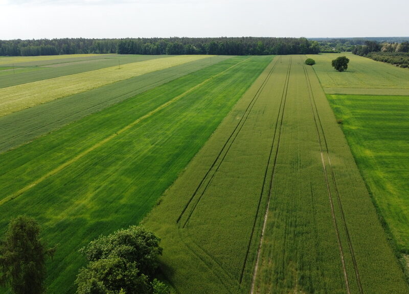 Działka rolna 3 ha w Jasieńcu Soleckim (zwoleński)