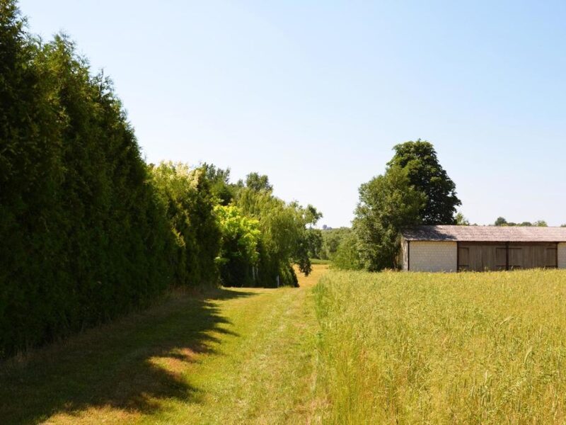 Działka rolno-budow. z szybkim dojazdem do Lublina - JASTKÓW, LUBELSKIE na SPRZEDAŻ
