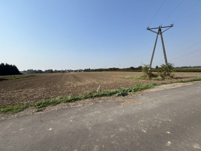 Działka rolno-budowlana 0,62 ha w Gołębiu k/Puław.